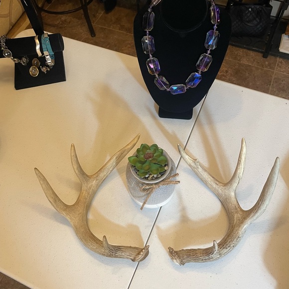 🦌4x4.5 Point Matching Whitetail Antler Set - Picture 4 of 8